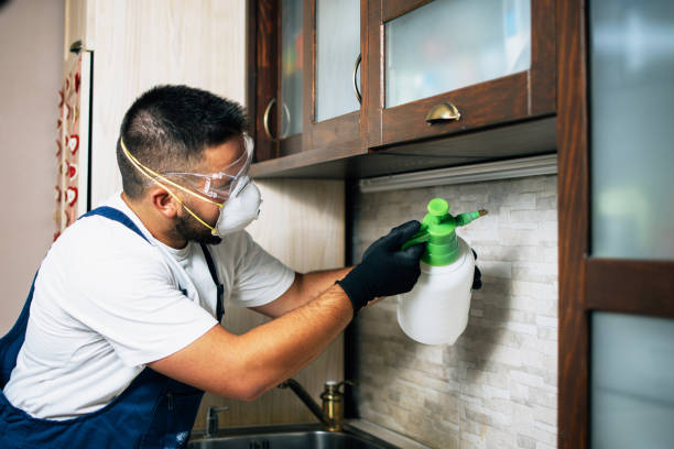Best Wasp Removal Services  in Clarksburg, WV