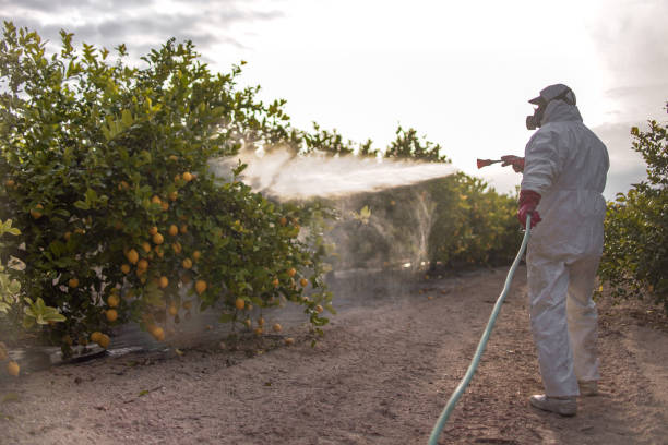 Best Pest Control Near Me  in Clarksburg, WV
