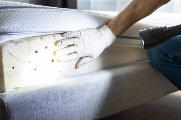 Best Mosquito Control Services  in Clarksburg, WV