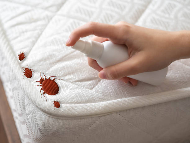 Pest Prevention Services in Clarksburg, WV